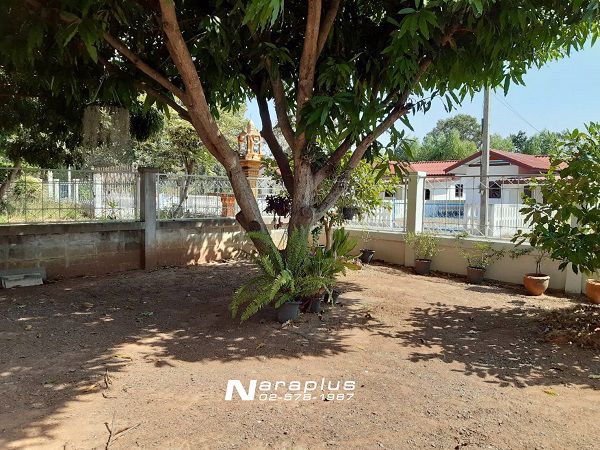 62122858-ขายด่วน-บ้านเดี่ยวชั้นเดียว-เนื้อที่-100-ตรว-อำเภอปักธงชัย-นครราชสีมา