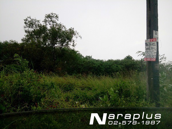 62122898-ขายที่ดินเปล่าแปลงสวย-ซอยรามอินทรา-64-ขนาด-125-ตารางวา