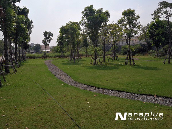 62122898-ขายที่ดินเปล่าแปลงสวย-ซอยรามอินทรา-64-ขนาด-125-ตารางวา