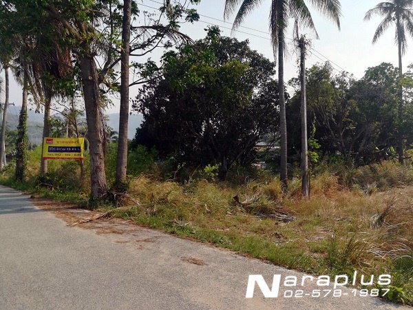 63020550-ขายที่ดินเปล่า-ขนาด-4-ไร่-1-งาน-87-ตรว-ตหนองข้างคอก-ชลบุรี