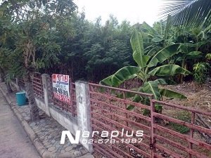 63020620-ขายที่ดินเปล่า-มชวนชื่นซิตี้-อารีน่า-ขนาด-1889-ตรว-รามอินทรา