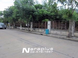 63020620-ขายที่ดินเปล่า-มชวนชื่นซิตี้-อารีน่า-ขนาด-1889-ตรว-รามอินทรา