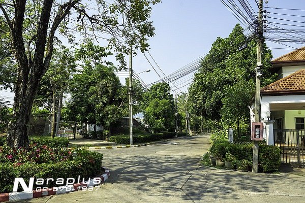 63030718-ขายบ้านเดี่ยว-2-ชั้น-ขนาด-518-ตรว-มแมกไม้-เพิ่มสิน-38