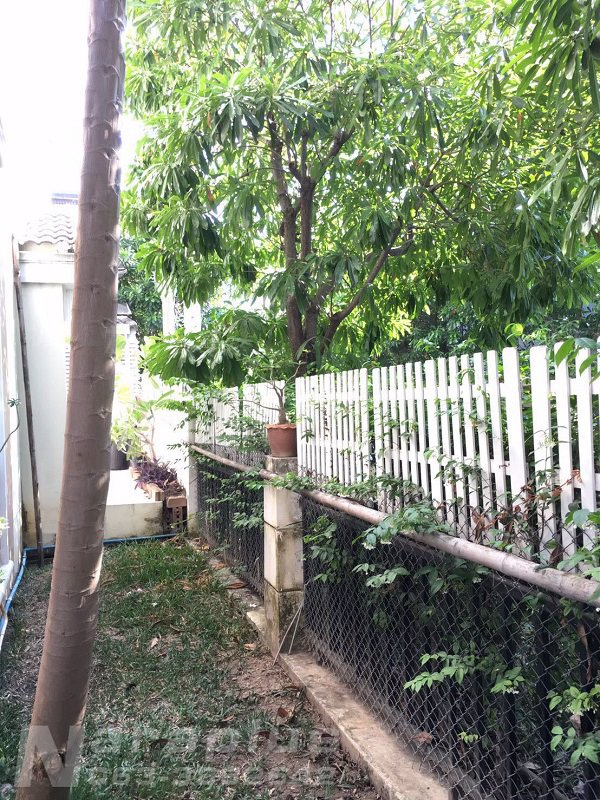 63040810-ขายทาวน์โฮม-3-ชั้น-หลังริม-ขนาด-278-ตรว-มเดอะ-เมทโทร-พระราม-9