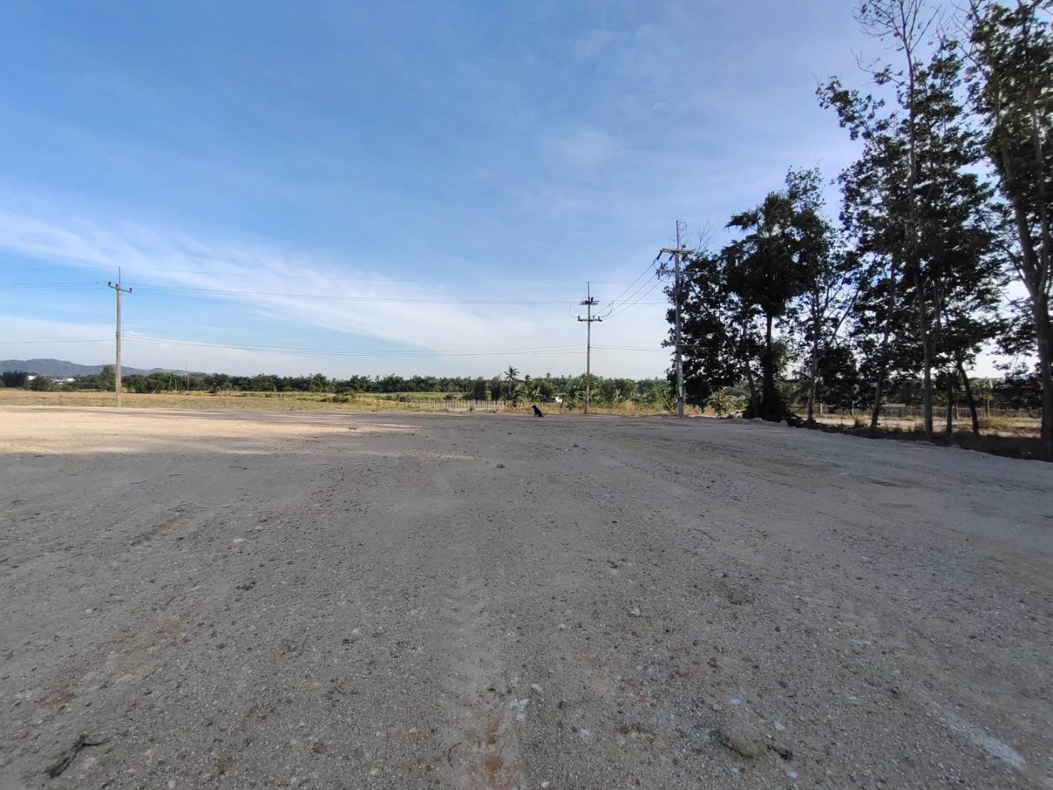 ให้เช่าโรงงาน-โกดัง-กำลังก่อสร้าง-เนื้อที่-9-ไร่-พื้นที่ใช้สอย-5292-ตารางเมตร-ตำบลหนองไผ่แก้ว