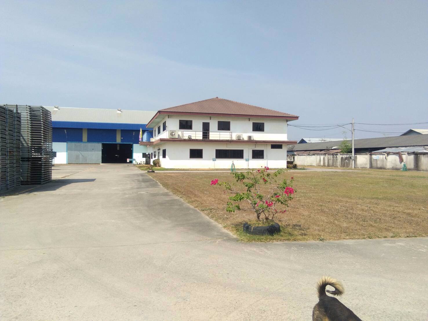 โรงงานเช่าให้เช่าอยูตำบลหนองไผ่แก้วอำเภอบ้านบึงจังหวัดชลบุรีอยู่ใกล้แยกหนองปรืถนนเส้น331