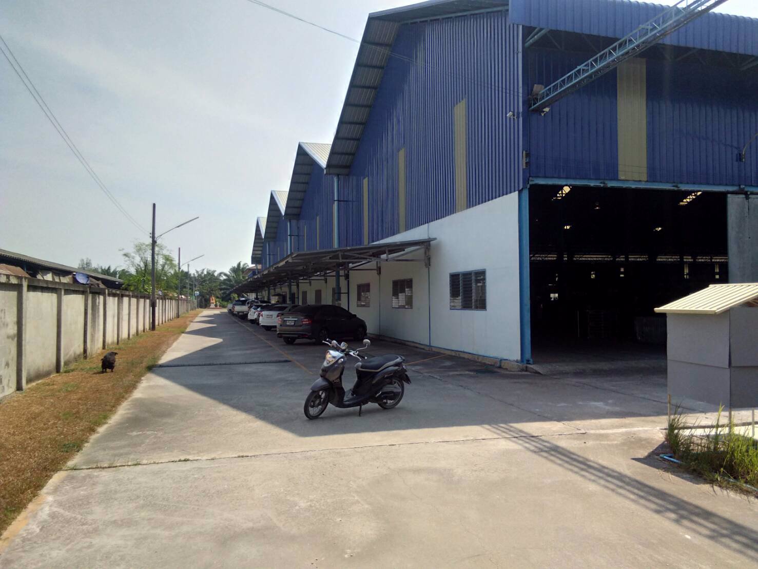 โรงงานเช่าให้เช่าอยูตำบลหนองไผ่แก้วอำเภอบ้านบึงจังหวัดชลบุรีอยู่ใกล้แยกหนองปรืถนนเส้น331