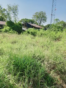 ขายที่ดินด่วนอยู่ถนนรามอินทราซอย-81-หน้าปากซอยมีสถานีรถไฟฟ้าอยู่ตรงข้ามกับโรงพยาบาลสินแพทย์