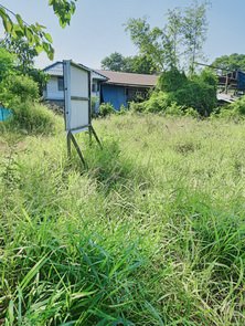 ขายที่ดินด่วนอยู่ถนนรามอินทราซอย-81-หน้าปากซอยมีสถานีรถไฟฟ้าอยู่ตรงข้ามกับโรงพยาบาลสินแพทย์