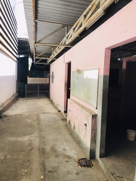 ให้เช่าโรงงานให้เช่าโกดังอยู่ถนนเทพารักษ์-กม-11-ตำบลบางพลีใหญ่อำเภอบางพลีจังหวัดสมุทรปราการ