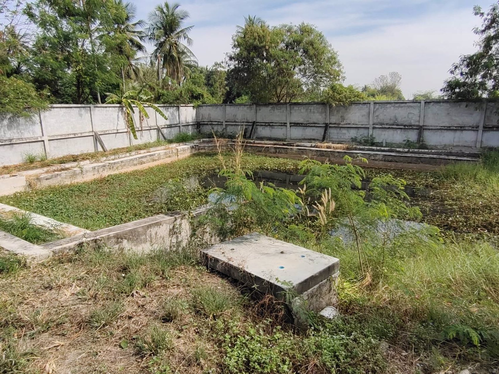 ขายด่วนๆ-โรงงาน-โกดังตกแต่งใหม่-เนื้อที่-6-2-53-ไร่-พื้นที่ใช้สอย-2000-ตารางเมตร-ตำบลมาบไผ่