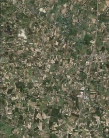 ขายที่ดินราคาถูกด่วนด่วนอยู่ตำบลท่าบุญมีอำเภอเกาะจันทร์จังหวัดชลบุรีอยู่ใกล้แยกเกาะโพธิ์ห่างจากถนน