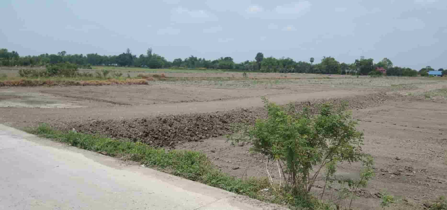 ที่ดินโครงการทองหลาง-บ้านนา-ออแกนิกส์