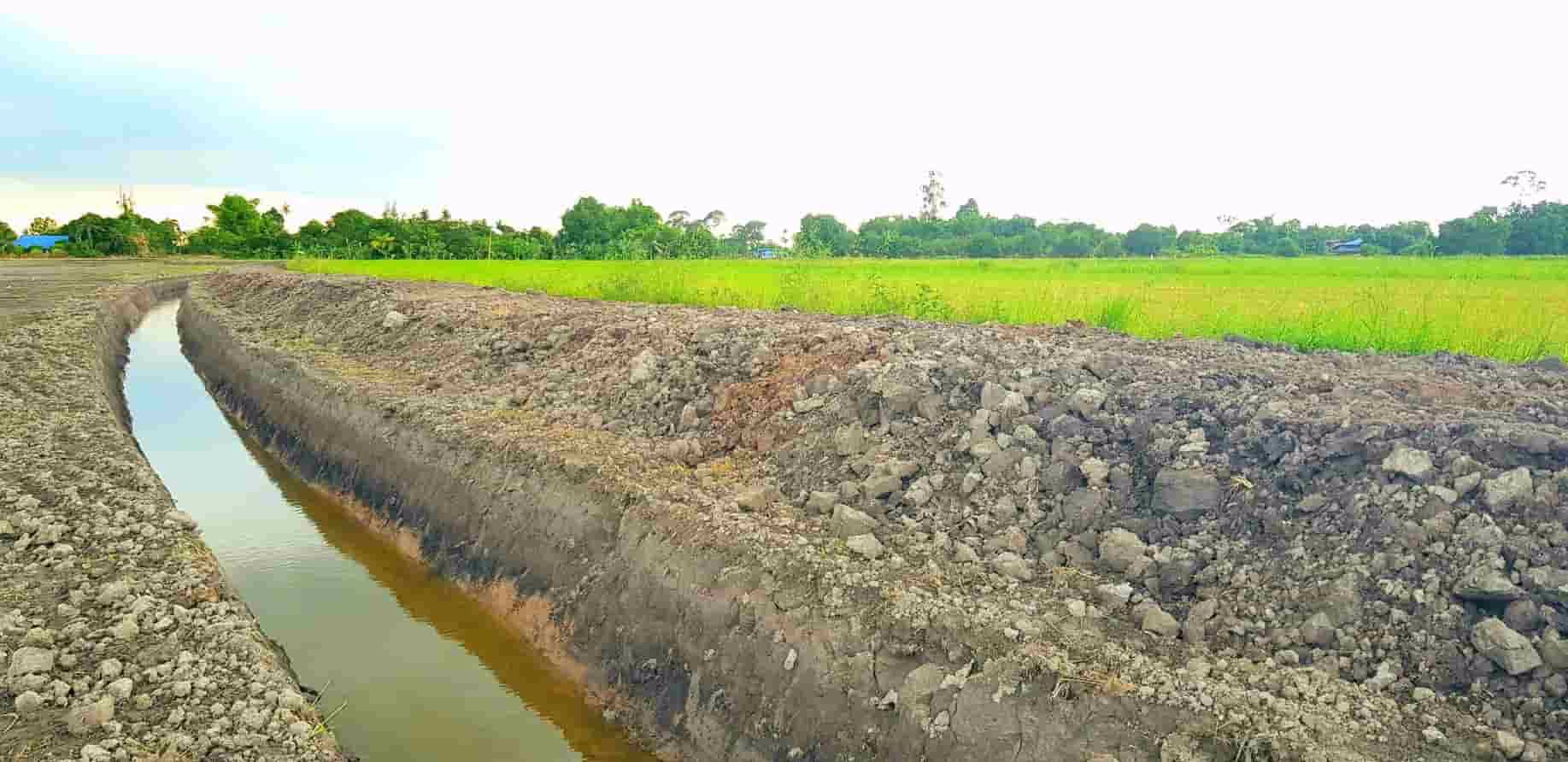 ที่ดินโครงการทองหลาง-บ้านนา-ออแกนิกส์