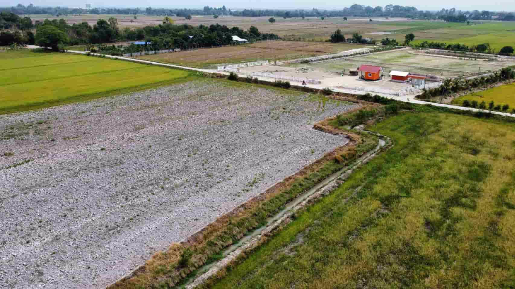 ที่ดินโครงการทองหลาง-บ้านนา-ออแกนิกส์