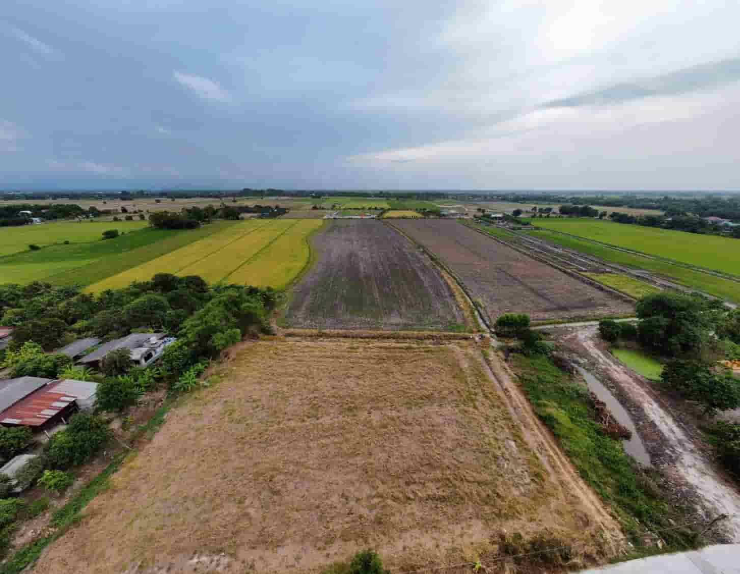 ที่ดินโครงการทองหลาง-บ้านนา-ออแกนิกส์