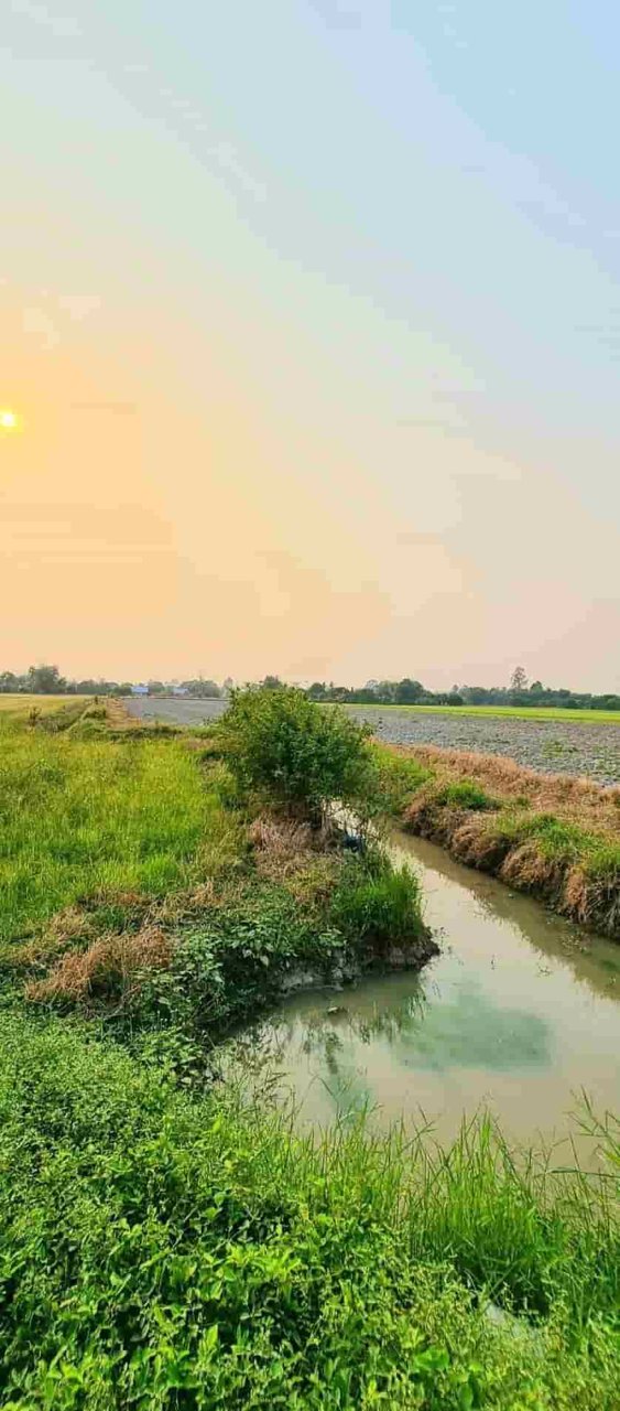 ที่ดินโครงการทองหลาง-บ้านนา-ออแกนิกส์