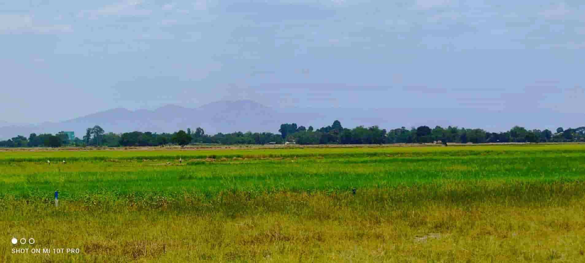 ที่ดินโครงการทองหลาง-บ้านนา-ออแกนิกส์