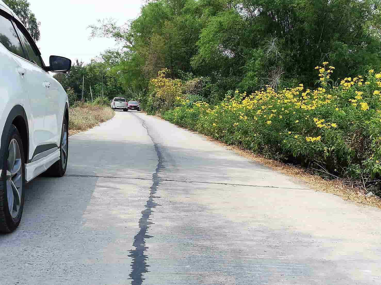 ที่ดินโครงการทองหลาง-บ้านนา-ออแกนิกส์