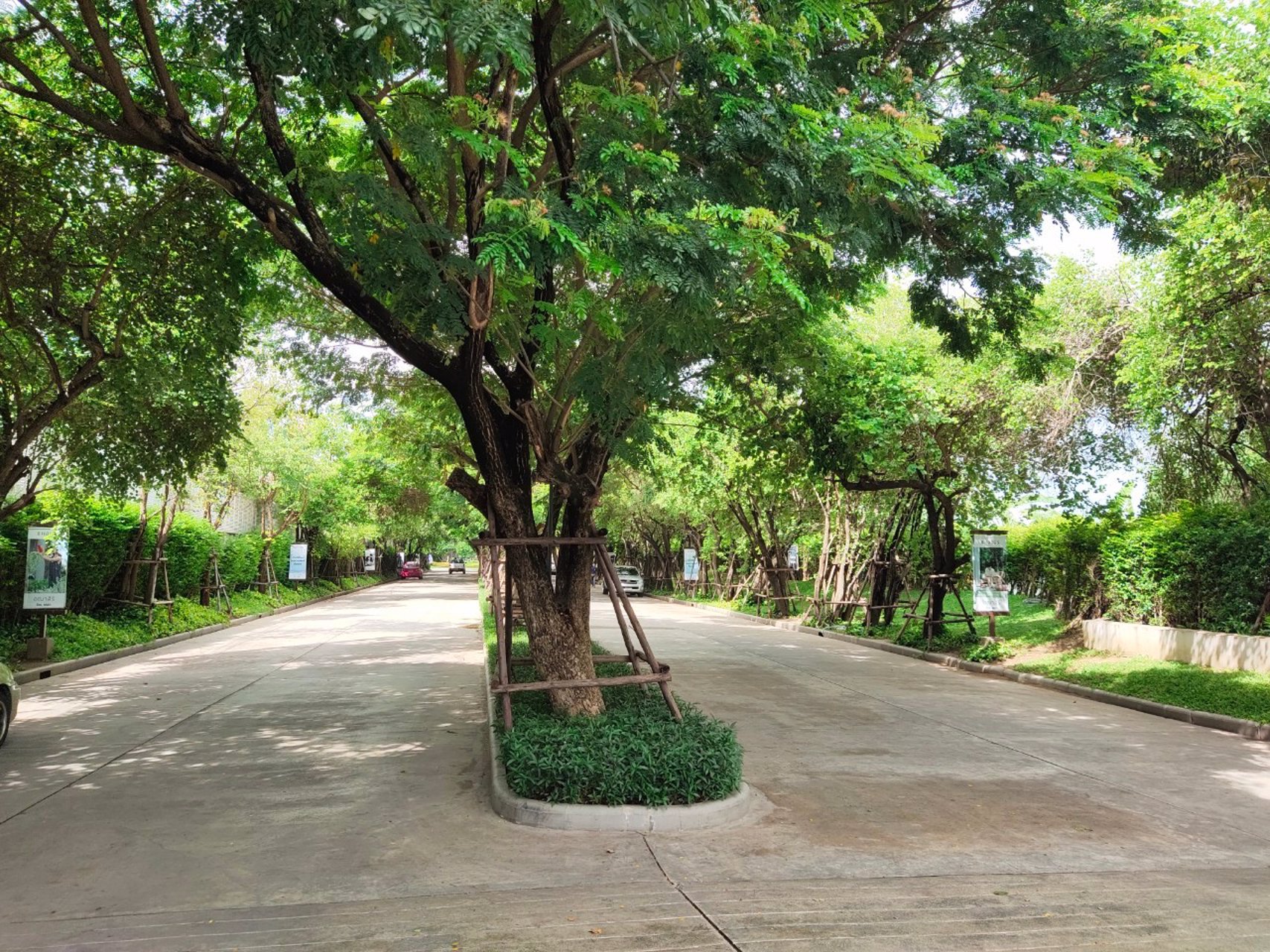 ขายถูก-บ้านเดี่ยว-หมู่บ้านคณาสิริ-ชัยพฤกษ์-วงแหวน-50-ตรว-3-นอน-2