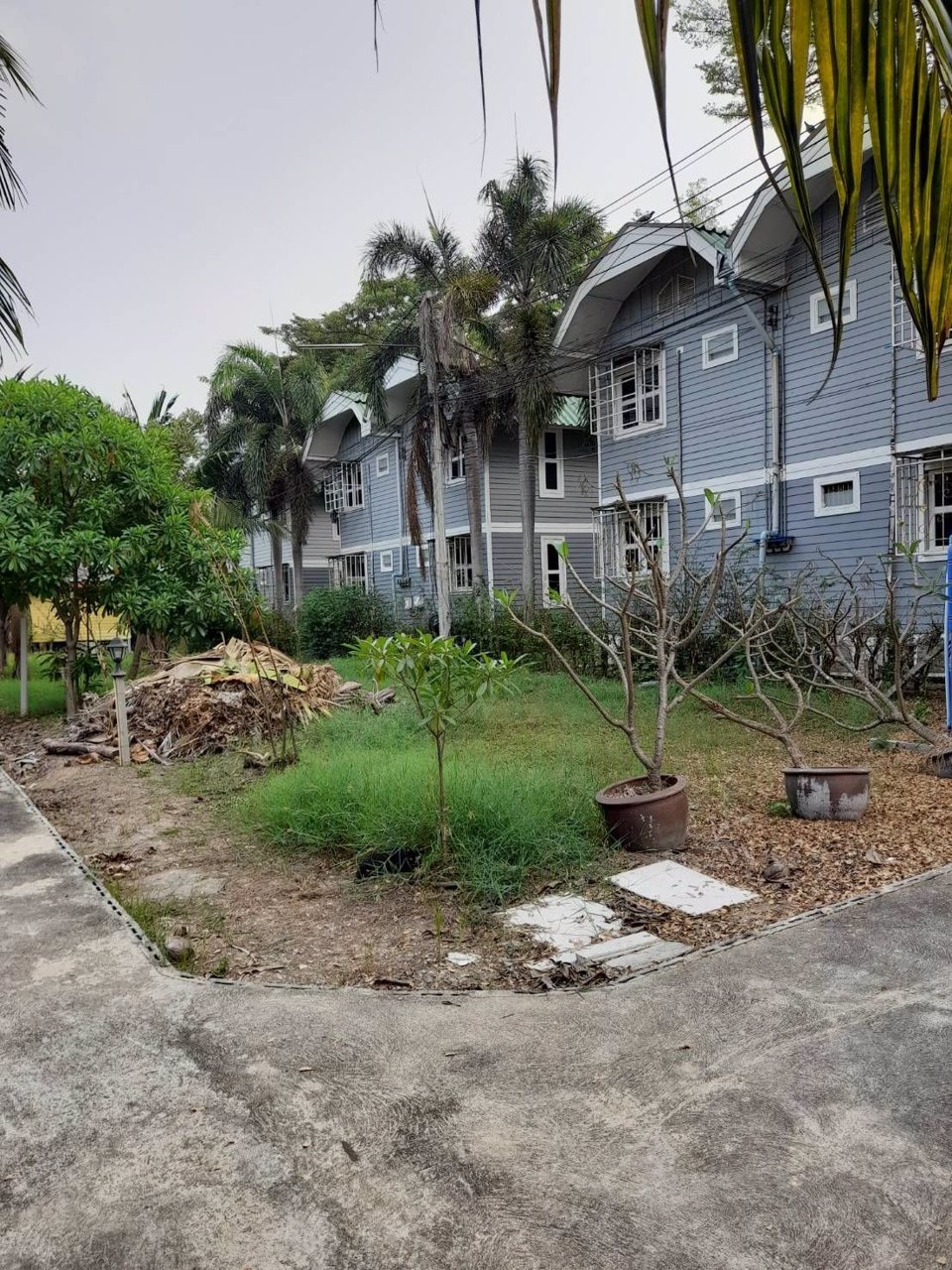 ขายที่ดิน-2-ไร่-ตรงข้าม-มเกษตรศาสตร์-กำแพงแสน-จ-นครปฐม-ห่างถนนมาลัยแมนเพียง-30-เมตร