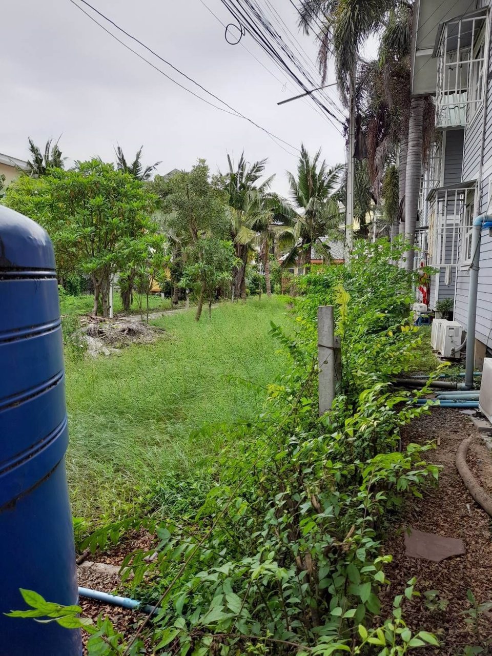 ขายที่ดิน-2-ไร่-ตรงข้าม-มเกษตรศาสตร์-กำแพงแสน-จ-นครปฐม-ห่างถนนมาลัยแมนเพียง-30-เมตร