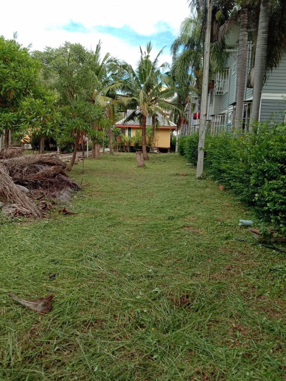 ขายที่ดิน-2-ไร่-ตรงข้าม-มเกษตรศาสตร์-กำแพงแสน-จ-นครปฐม-ห่างถนนมาลัยแมนเพียง-30-เมตร