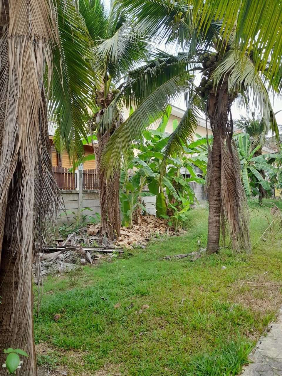 ขายที่ดิน-2-ไร่-ตรงข้าม-มเกษตรศาสตร์-กำแพงแสน-จ-นครปฐม-ห่างถนนมาลัยแมนเพียง-30-เมตร