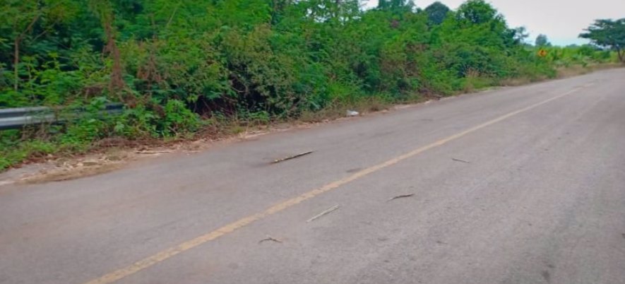 ขายที่ดิน-2-ไร่-ราคายกแปลง-2-ล้านบาท