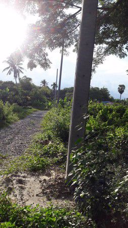 ที่ดินเปล่า-1-แปลง-นาเคียน-นครศรีธรรมราช-เนื้อที่-2-ไร่-2-งาน-34-ตารางวา