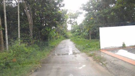 ที่ดินเปล่า-ตำบลโพธิ์เสด็จ-เมืองนครศรีธรรมราช-เนื้อที่-198-ตรวา-เหมาะปลูกบ้าน-