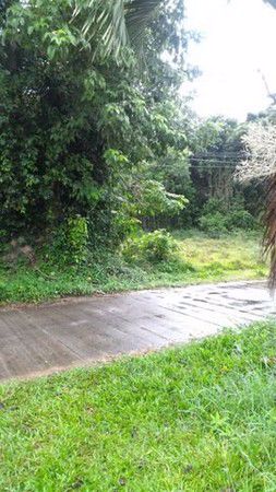 ที่ดินเปล่า-ตำบลโพธิ์เสด็จ-เมืองนครศรีธรรมราช-เนื้อที่-198-ตรวา-เหมาะปลูกบ้าน-