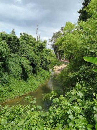 ขายที่ดิน-เนื้อที่-5-ไร่-19-ตรว-เส้นบ้านนา-แก่งคอย-ด้านหน้าติดถนน-ด้านหลังติดคลองบ้านนา