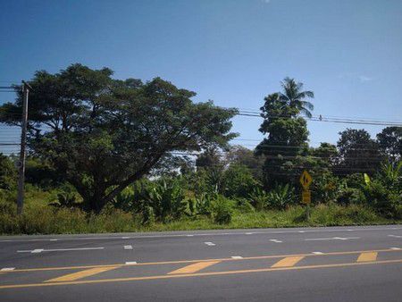 ขายที่ดิน-เนื้อที่-5-ไร่-19-ตรว-เส้นบ้านนา-แก่งคอย-ด้านหน้าติดถนน-ด้านหลังติดคลองบ้านนา