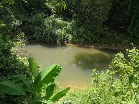 ขายที่ดิน-เนื้อที่-5-ไร่-19-ตรว-เส้นบ้านนา-แก่งคอย-ด้านหน้าติดถนน-ด้านหลังติดคลองบ้านนา