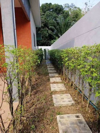 บ้านเดี่ยวชั้นเดียว-สไตล์โมเดิร์นลอฟท์-บางเสร่-ชลบุรี-เนื้อที่-85-ตารางวา