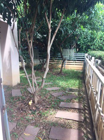 บ้านเดี่ยว-2-ชั้น-หมู่บ้านเดอะคานารี่วิลล์-โนนทัน-จขอนแก่น-เนื้อที่-60-ตรว