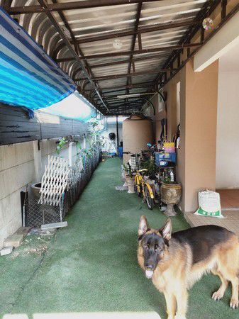 บ้านแฝด-2-ชั้นพร้อมที่ดิน-บ้านโพธิ์-ฉะเชิงเทรา-เนื้อที่-368-ตารางวา