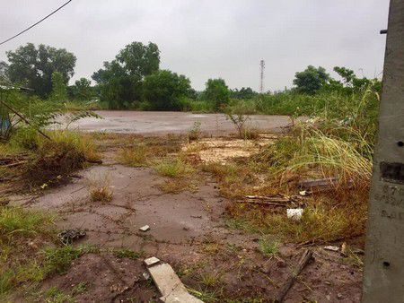 ที่ดินเปล่า-4-แปลง-ประโคนชัย-บุรีรัมย์-บรรยากาศเงียบสงบ-