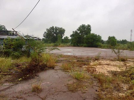 ที่ดินเปล่า-4-แปลง-ประโคนชัย-บุรีรัมย์-บรรยากาศเงียบสงบ-