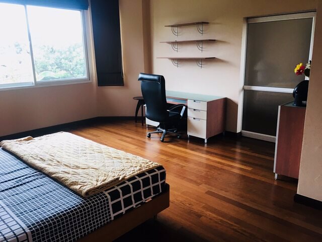 hr137-1ให้เช่าบ้านเดี่ยวเนื้อที่-104-ตรวหมู่บ้านเสรีวิลเลจ-พระราม-9-ตกแต่งเฟอร์ครบ-ใกล้-airport-lin