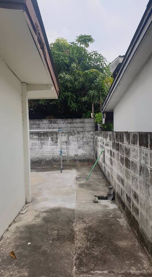 hr439ให้เช่าบ้านเดี่ยวสองชั้น-เนื้อที่-50-ตรวซอยวิภาวดี-62-เดินทางสะดวกใกล้โทลเวย์