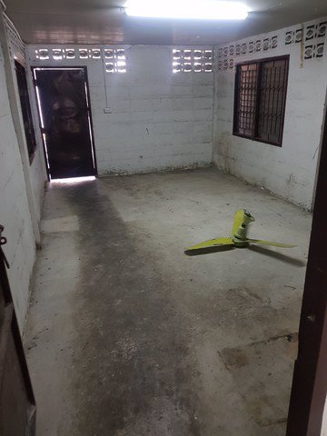 bs409ให้เช่าอาคารพาณิชย์-4-ชั้นครึ่ง-เนื้อที่-34ตรวติดถนนวัชรพล-เดินทางสะดวกใกล้ทางด่วนรามอินทรา-เห