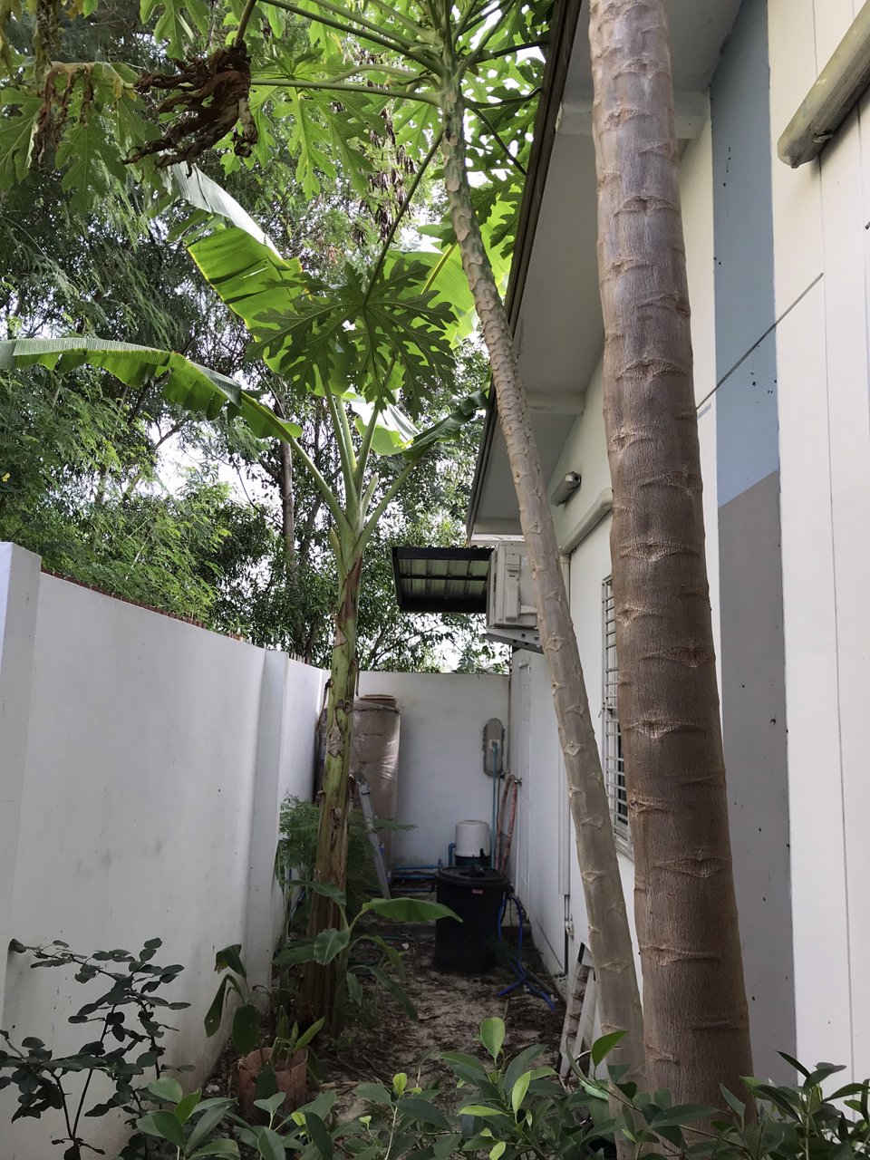 ขายบ้านชั้นเดียว-ราคาถูก