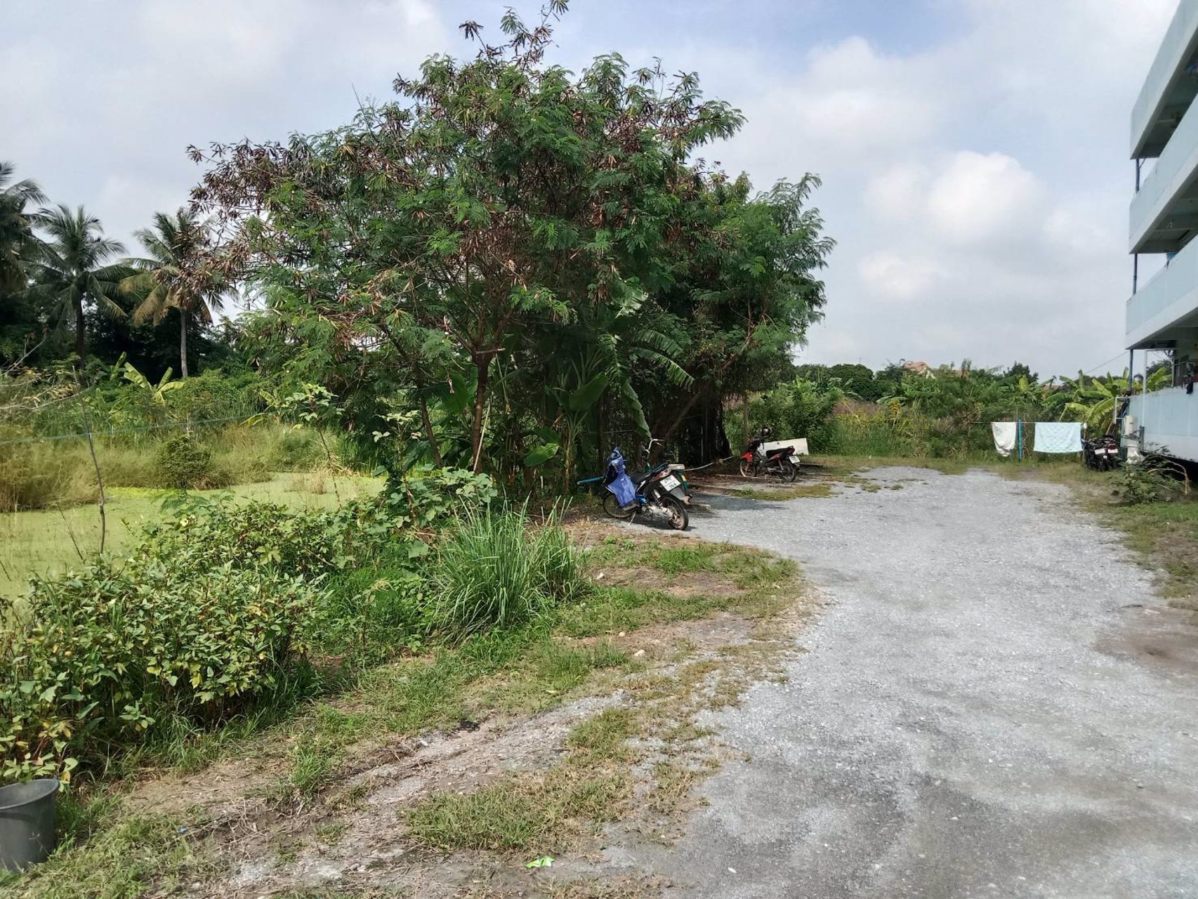 ขายที่ดินแปลงสวย-จำนวน7ไร่-28ล-ไร่