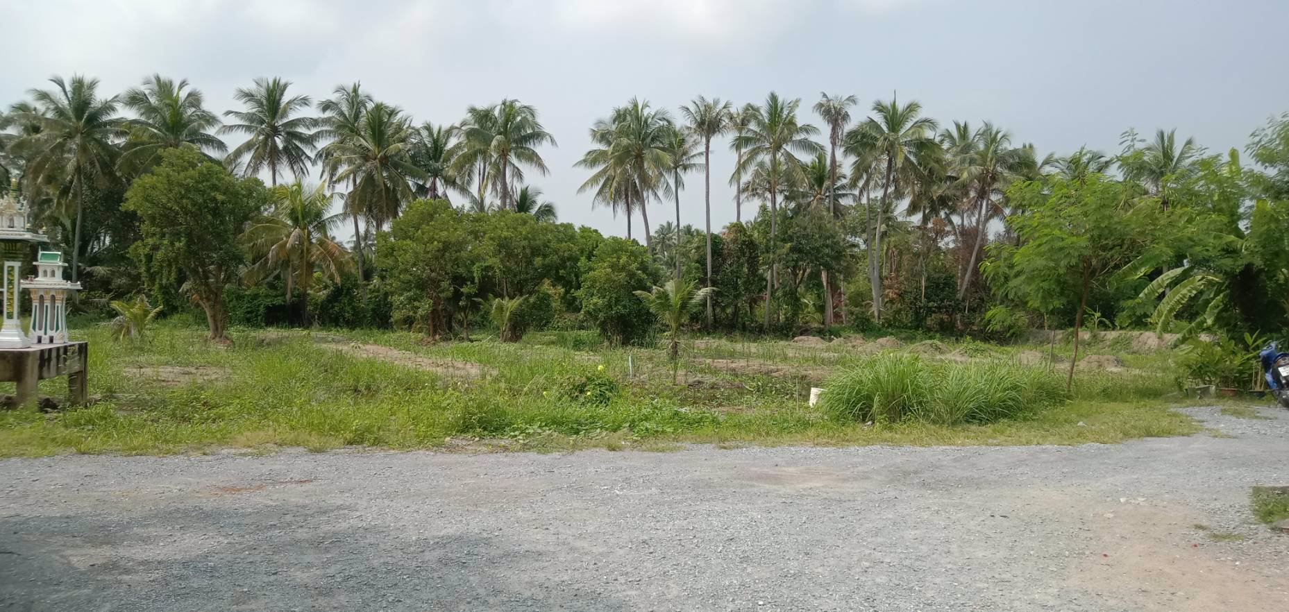 ขายที่ดินแปลงสวย-จำนวน7ไร่-28ล-ไร่