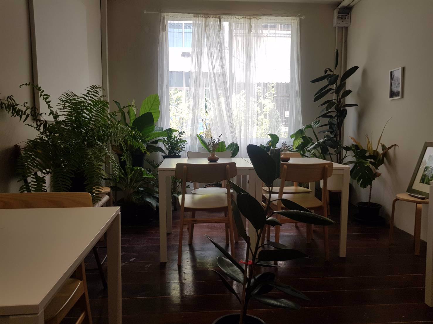 เซ้ง-ร้านคาเฟ่-ขนมหวาน-ย่านท่าเตียน-เขตพระนคร-ตรงข้ามกับวัดโพธิ์-