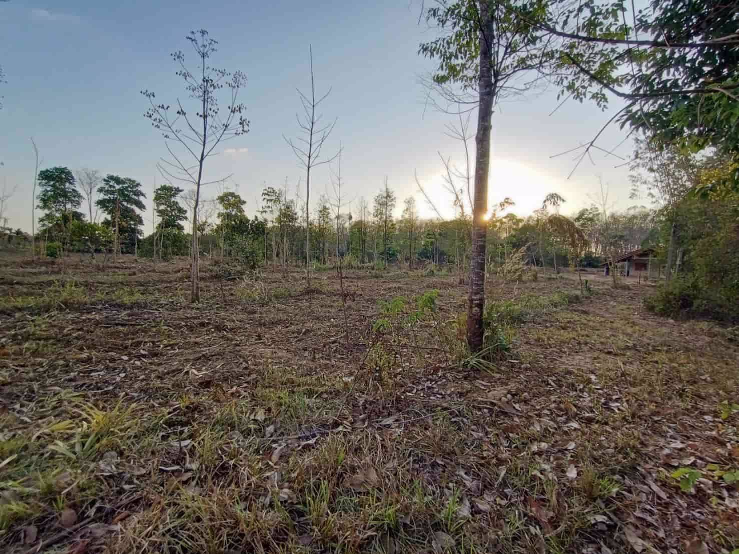 ขายที่ดินสวย-มีอนาคต-ท่าโสม-จตราด-