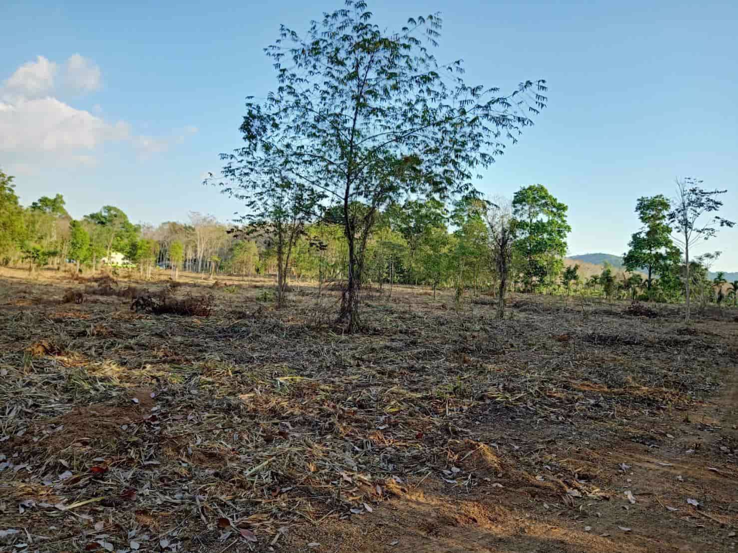 ขายที่ดินสวย-มีอนาคต-ท่าโสม-จตราด-