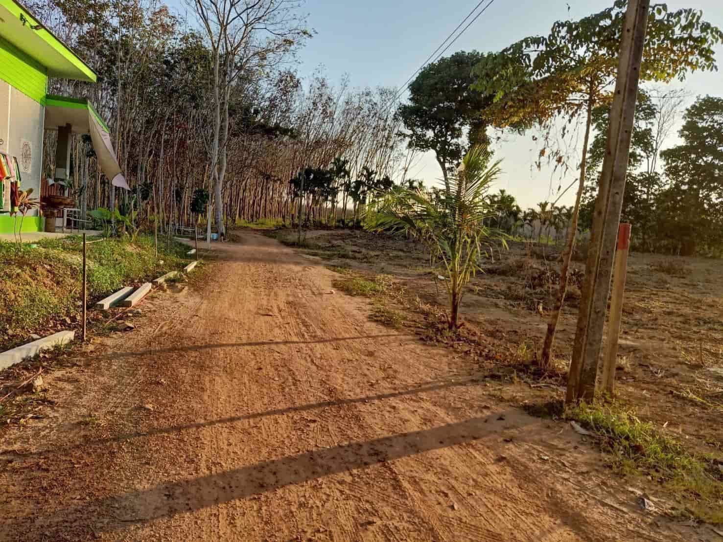 ขายที่ดินสวย-มีอนาคต-ท่าโสม-จตราด-